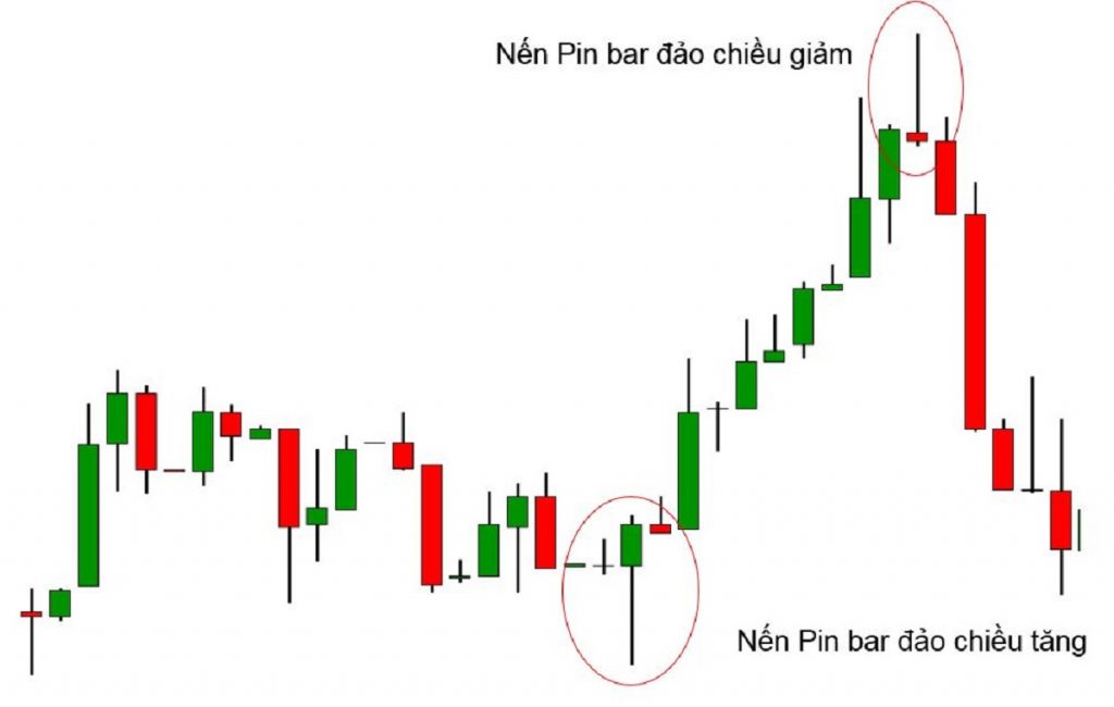 cấu tạo của nến pin bar
